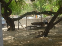 /album/dili-/dili-dez2012-57-jpg/